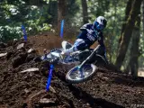 Yamaha YZ 450 F Monster Energy Yamaha Racing Edition - 4