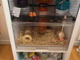 Hamsterbur