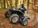 Yamaha YFM 700 Grizzly 25th Anniversary - Traktor A - 5