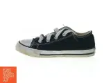 Sko fra Converse (str. 24) - 4