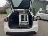 Hundebur Tesla - 3