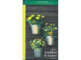 Plant i Krukker & Kasser