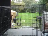 hundevalpegård  galvanniseret