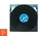 Dodo and dodos 3 LP fra Replay Records (str. 30 cm) - 3