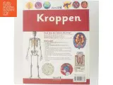 Kroppen : illustreret leksikon for børn af Penny Smith (Bog) - 3