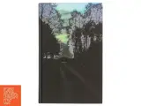 Hardback bog: &#39;Den der lyver&#39; af Ida Jessen - 2