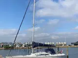 Sejlbåd Dehler 38 - 2