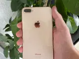 iPhone 8 plus