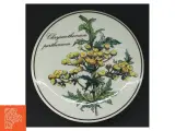 Villeroy & Boch Botanica bonbonniere, opbevaringskrukke fra Villeroy & Boch (str. 10 x 5 cm) - 3