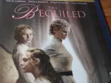 The Beguiled, Blu-ray, thriller