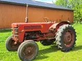 International traktor  - 3