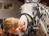 Naturlig bedækning ved verdens sødeste KNN hingst - 4
