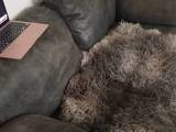 Sofa (2 pers.)
