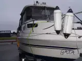 Drago 600 HT Daycruiser - 3