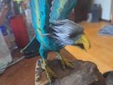 Træ fugl 20cm