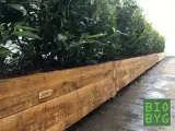 Plantekasser i lufttørret egetræ - byggesæt - 4