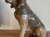 Royal Copenhagen blodhund