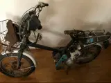Honda express Veteran knallert