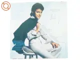 Alvin Stardust fra Ariola (str. 30 cm) - 3