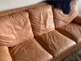 Lædersofaer