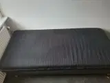 Elevationsseng 