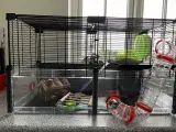 Hamsterbur med tilbehør