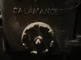Salemander fyr