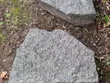 Granit trædesten