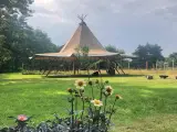 Tipi-telt Tentipi - Stratus 72 10x10m - 4