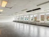 Kontor / lager /showroom 250 m² perfekt til webshop - 3