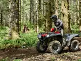 Yamaha YFM 700 Grizzly EPS Traktor - 4
