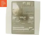 4 måneder 3 uger & 2 dage (DVD) - 3