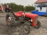 Traktorer  mingraver minilæsser Købes  - 4