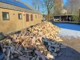 Bøgebrænde sælges 4 kassemeter incl levering  - 3