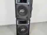 ⭐️- Peavey ES12 PA Højttalere 100W PAR - 4