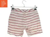 Stribet shorts til børn fra Tex (str. 122) - 2