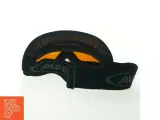 Ski briller fra Alpina (str. 19x8,5 cm) - 2