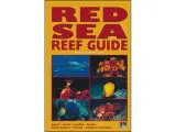 Red Sea Reef Guide