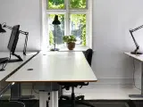Byens hyggeligste kontorfællesskab - 5