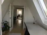 Super skøn beliggenhed - 3
