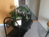 TV bord