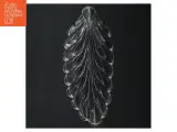 Gennemsigtig glas fad med blade design (str. 25 cm. og. 15 cm) - 4