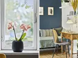 Spændende ejendom i Korinth med flere boliger og erhverv - 4