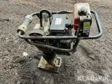 Jordloppe - 4