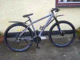29" X Zite MTB