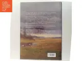 Vejret i kunsten af Jesper Theilgaard (Bog) - 3