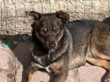 Sødeste Edgar - 2