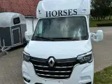 Renault Corso hestetransporter - 4
