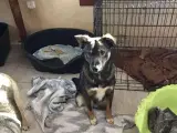 Sødeste Edgar - 3