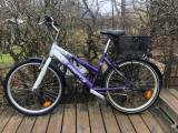 Pigecykel 23”